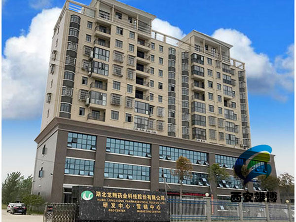 武穴龍翔藥業(yè)